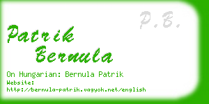 patrik bernula business card